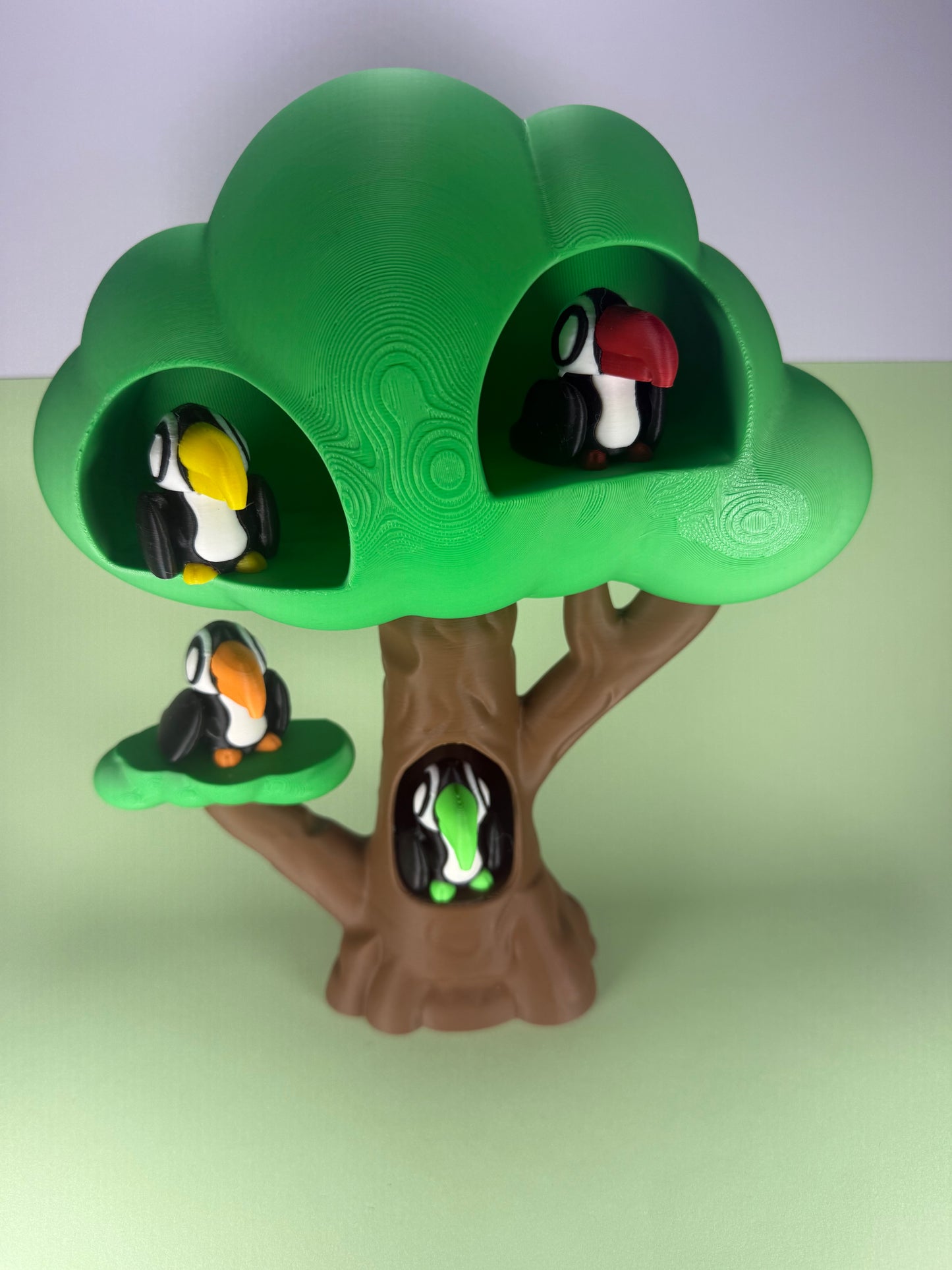 Toucan