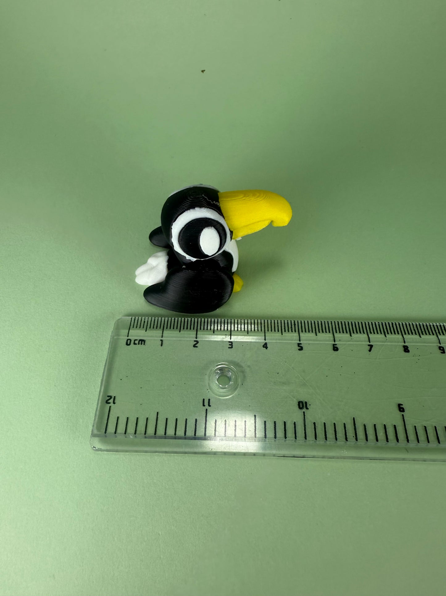 Toucan
