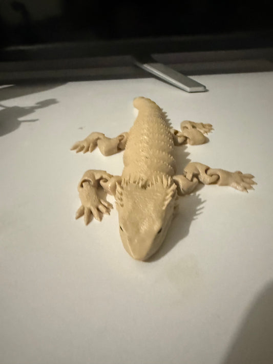 Bearded Dragon