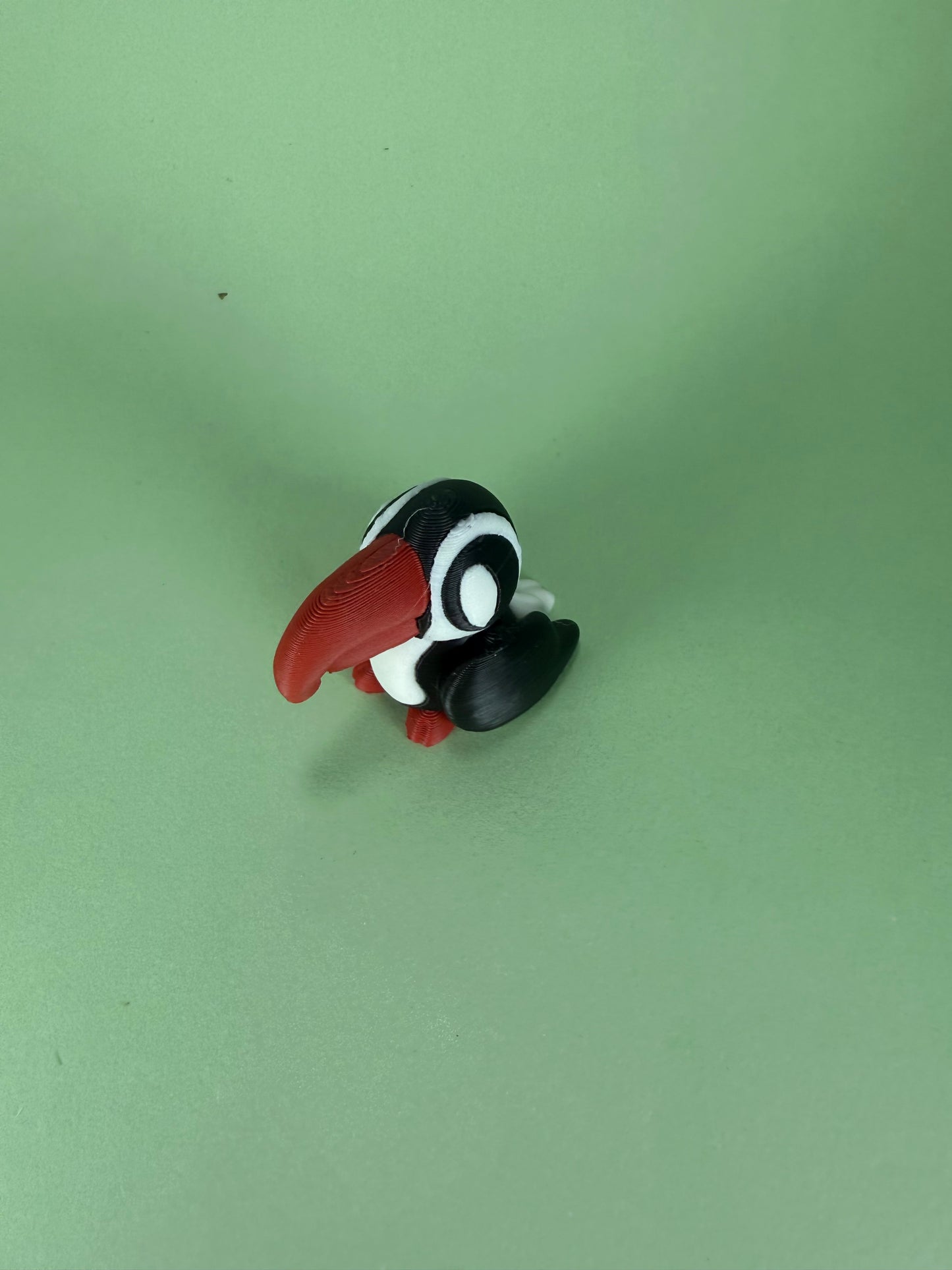 Toucan