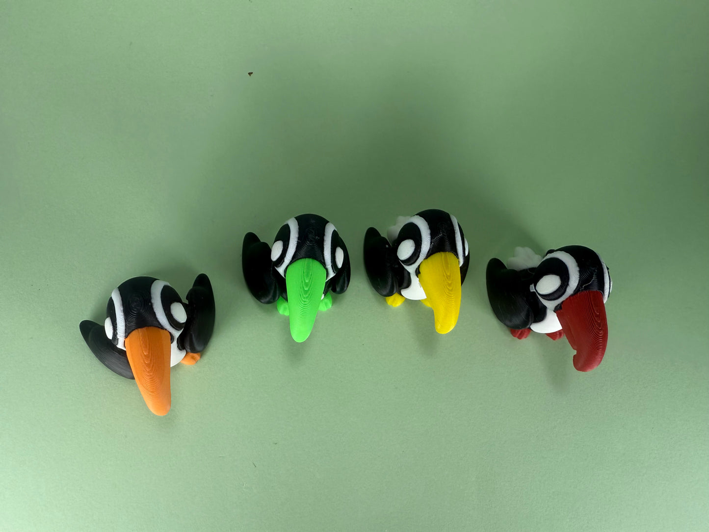 Toucan