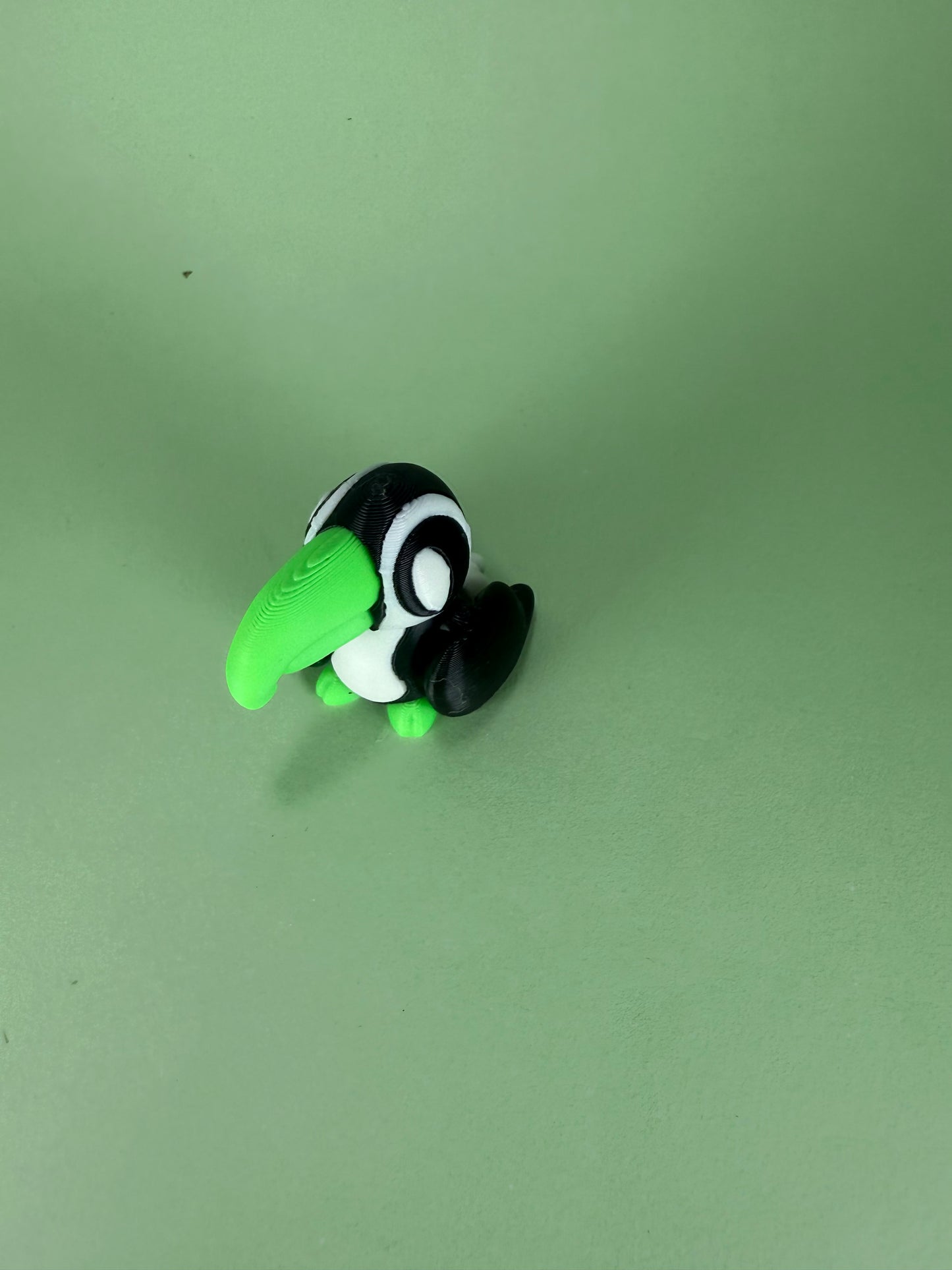 Toucan