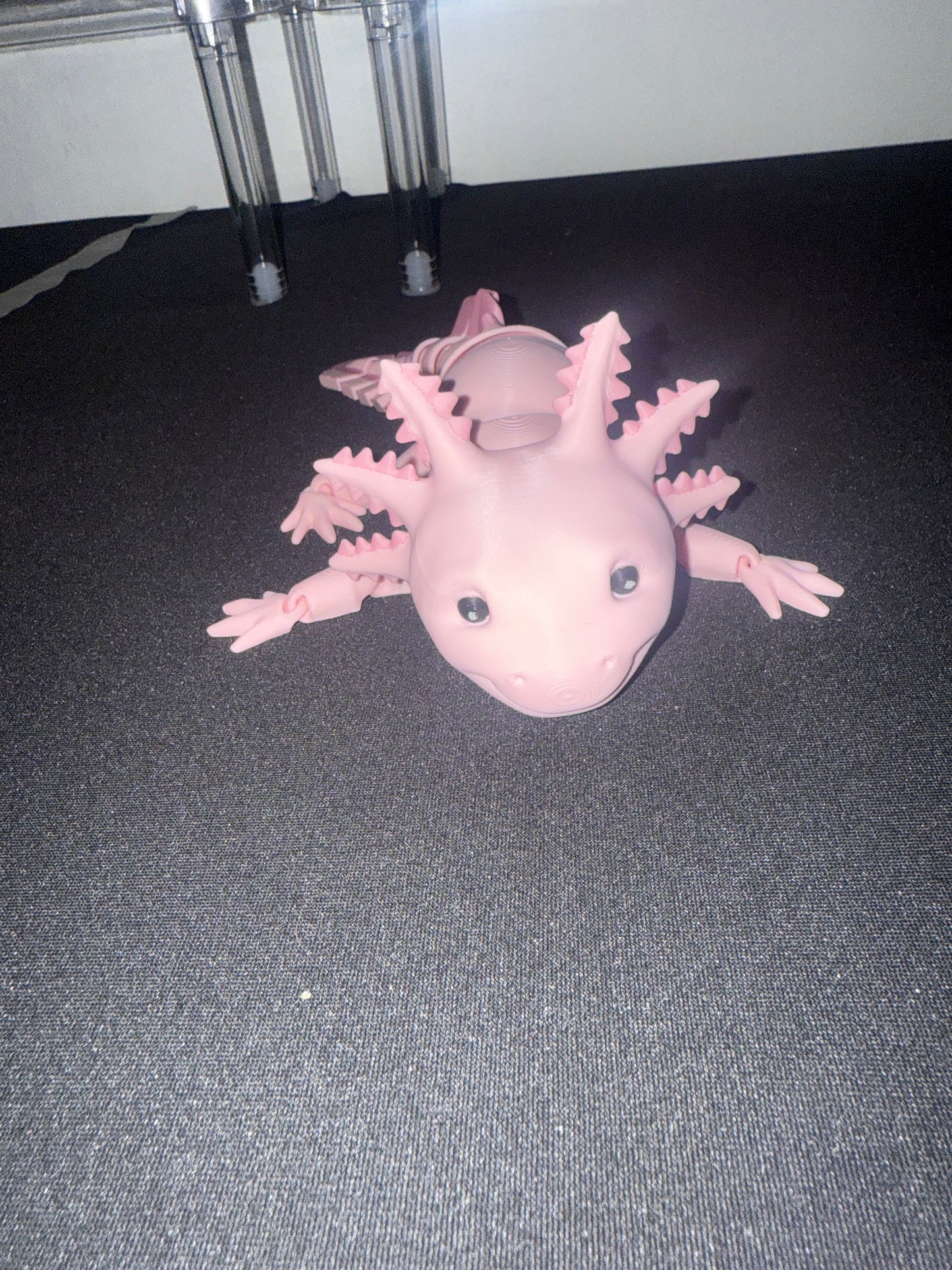 Axolotl