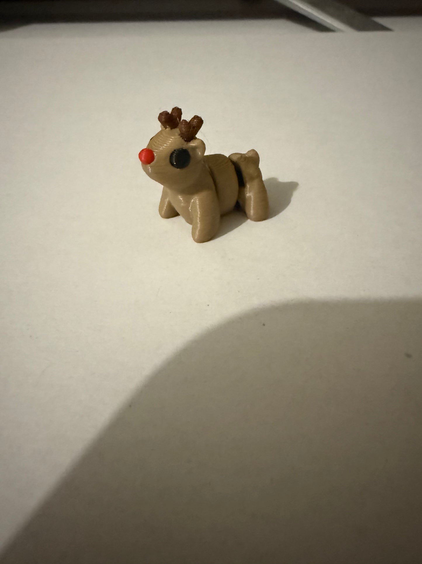 Reindeer