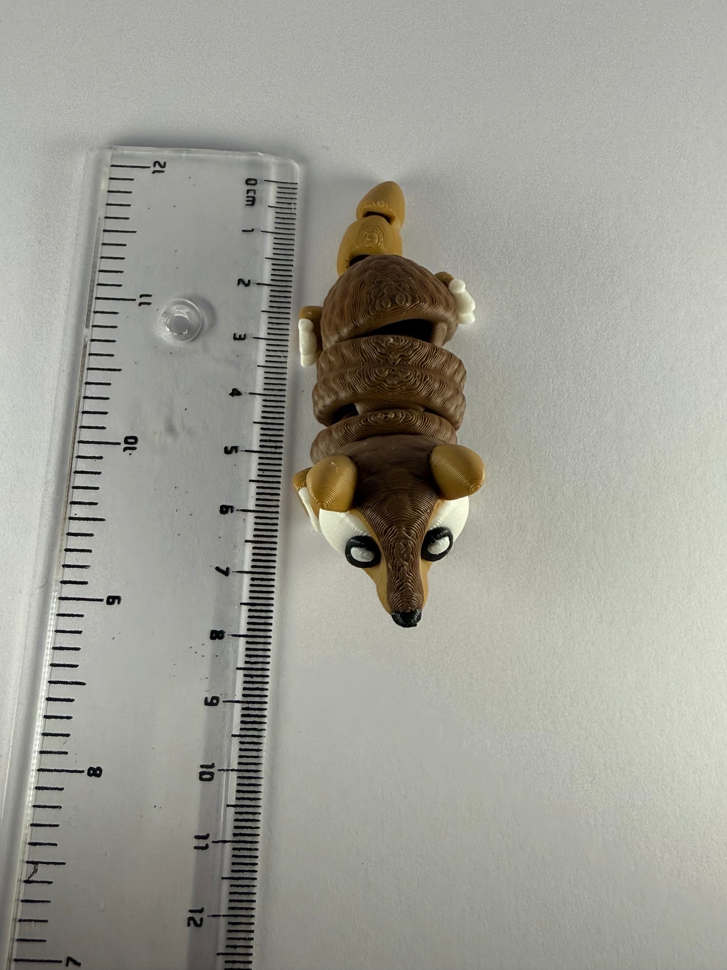 Armadillo