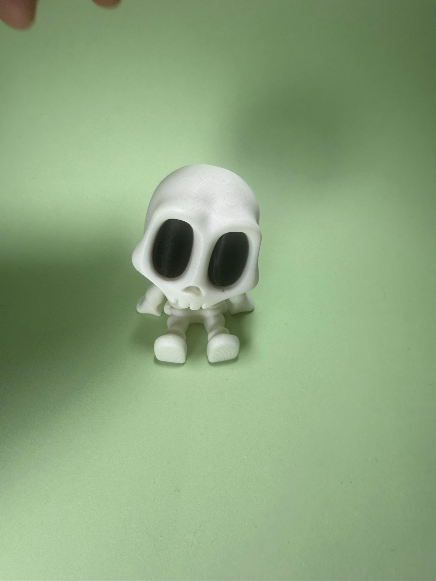 Skeleton
