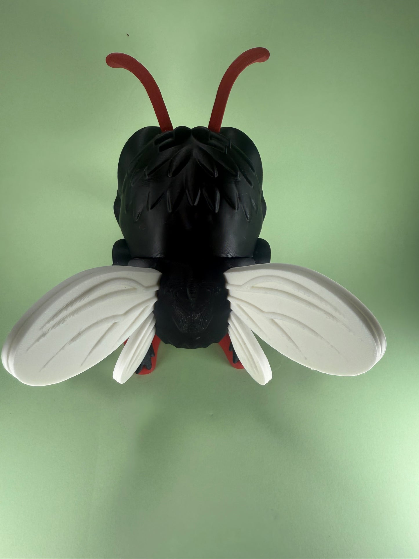 Creepy Fly