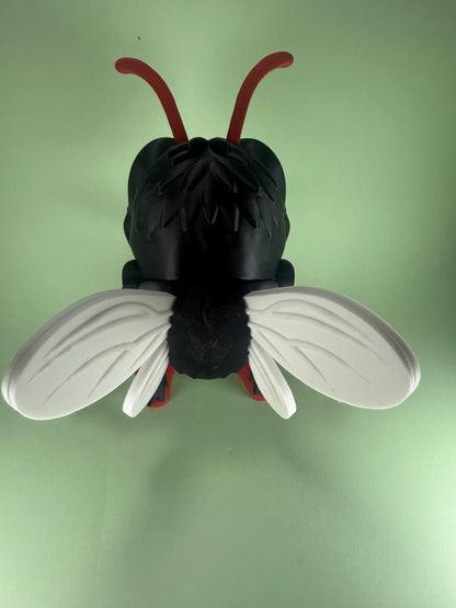 Creepy Fly