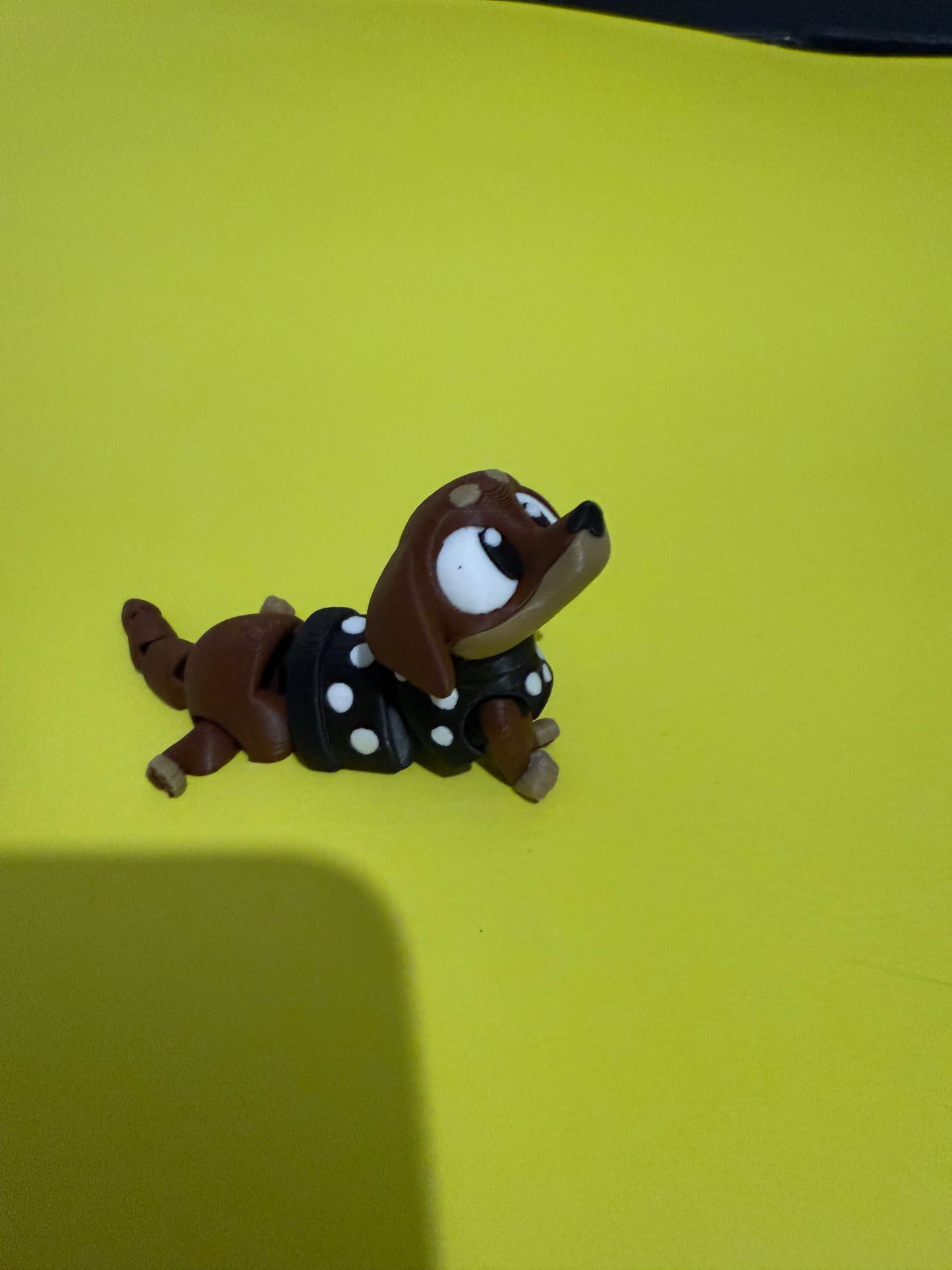 Dachshund