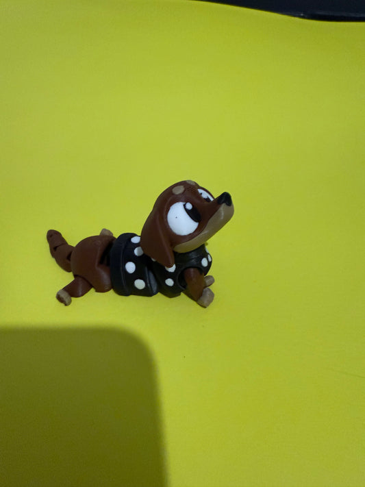 Dachshund