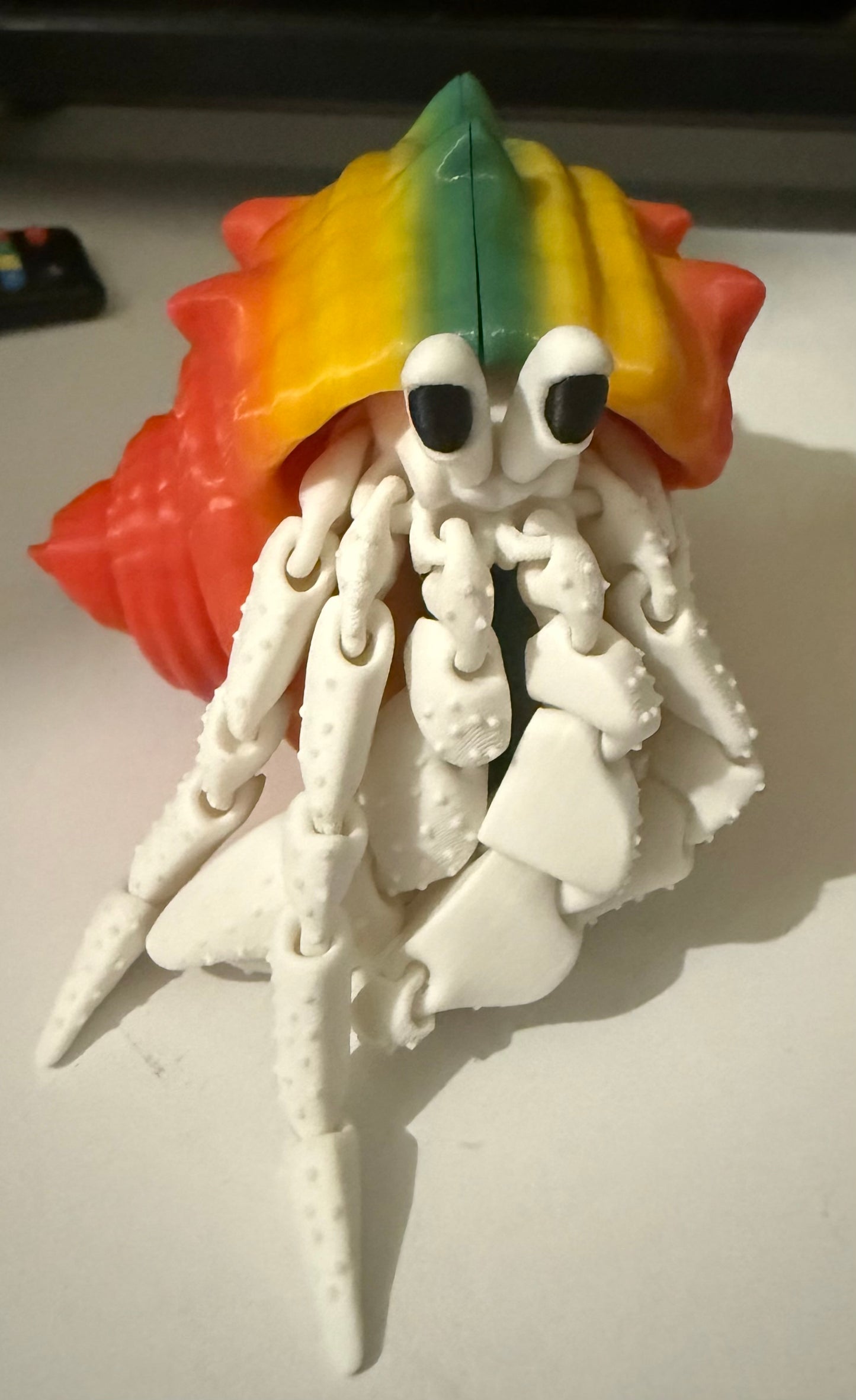 Hermit Crab