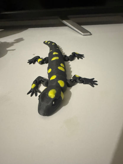 Salamander