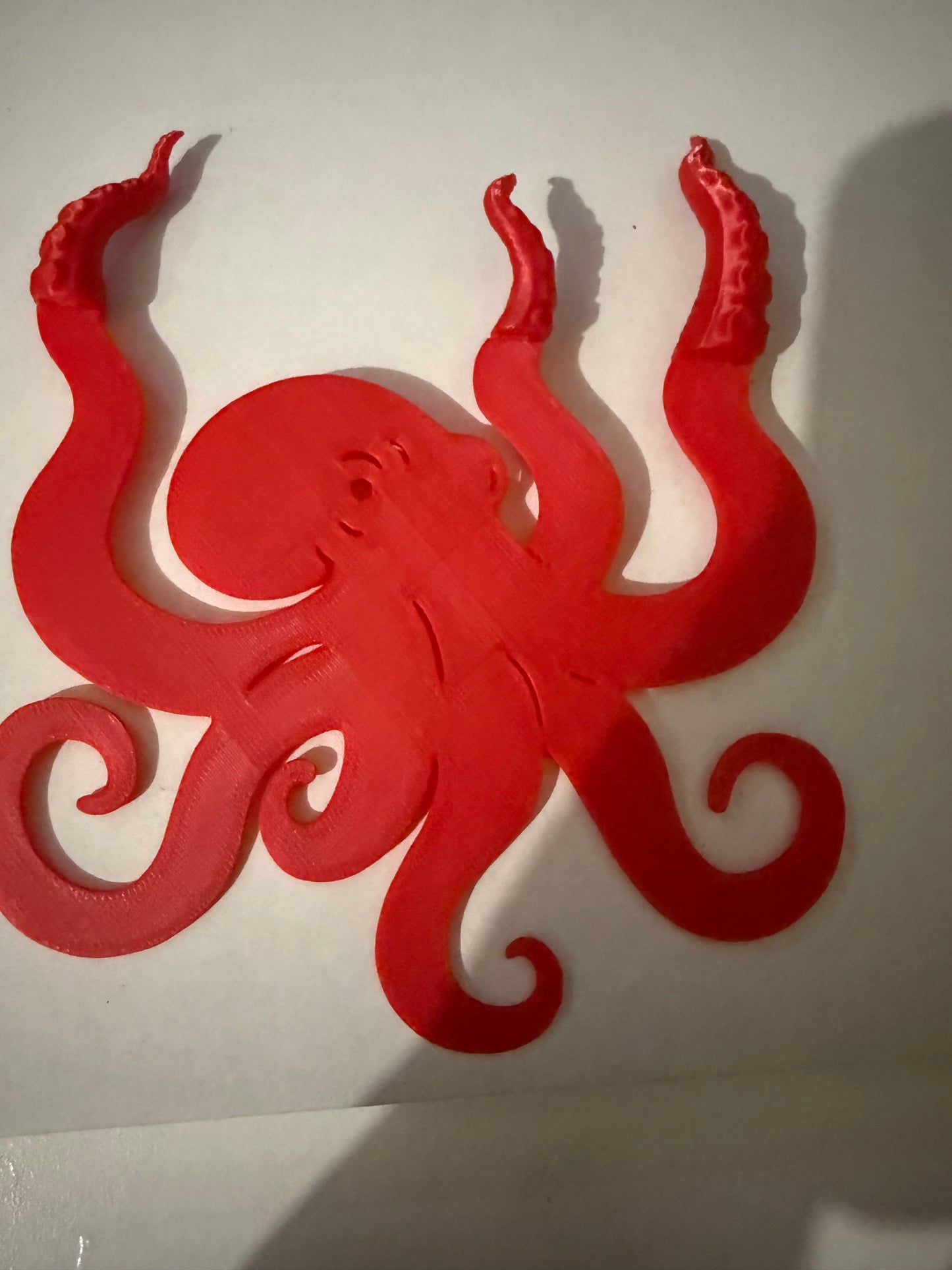 Octopus