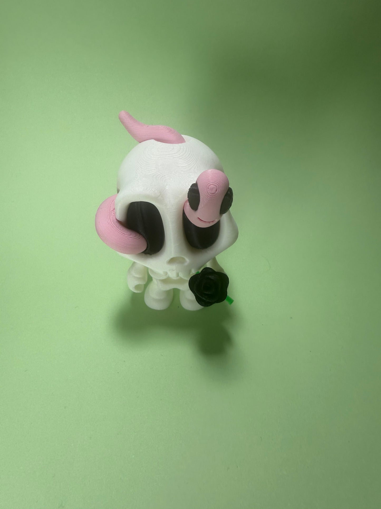 Skeleton