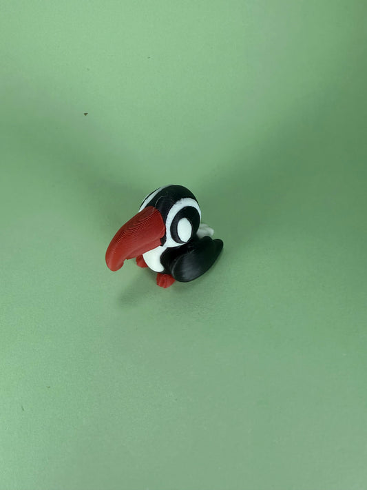 Toucan