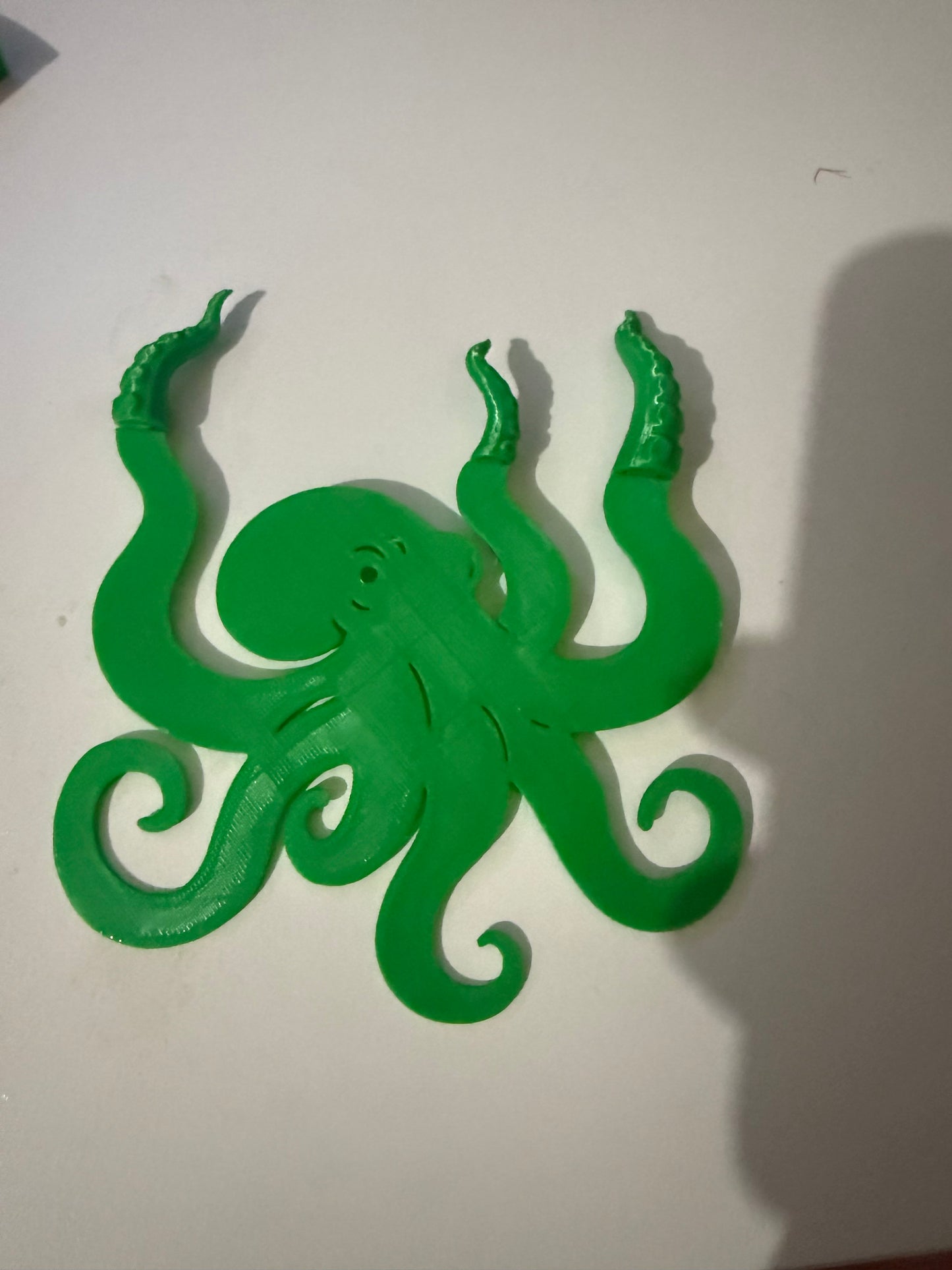 Octopus