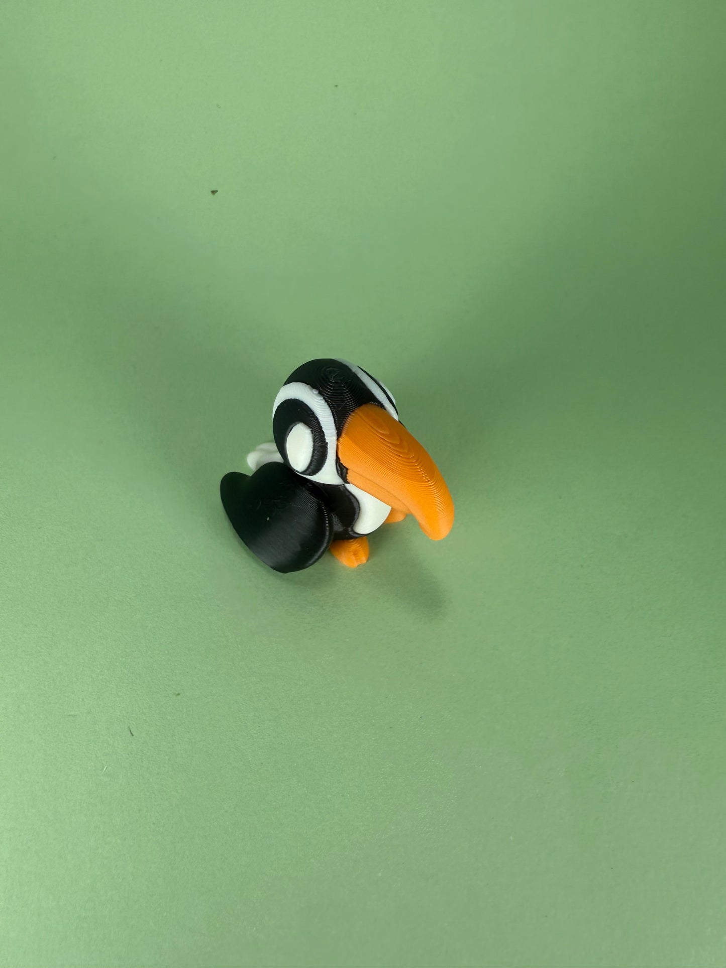 Toucan