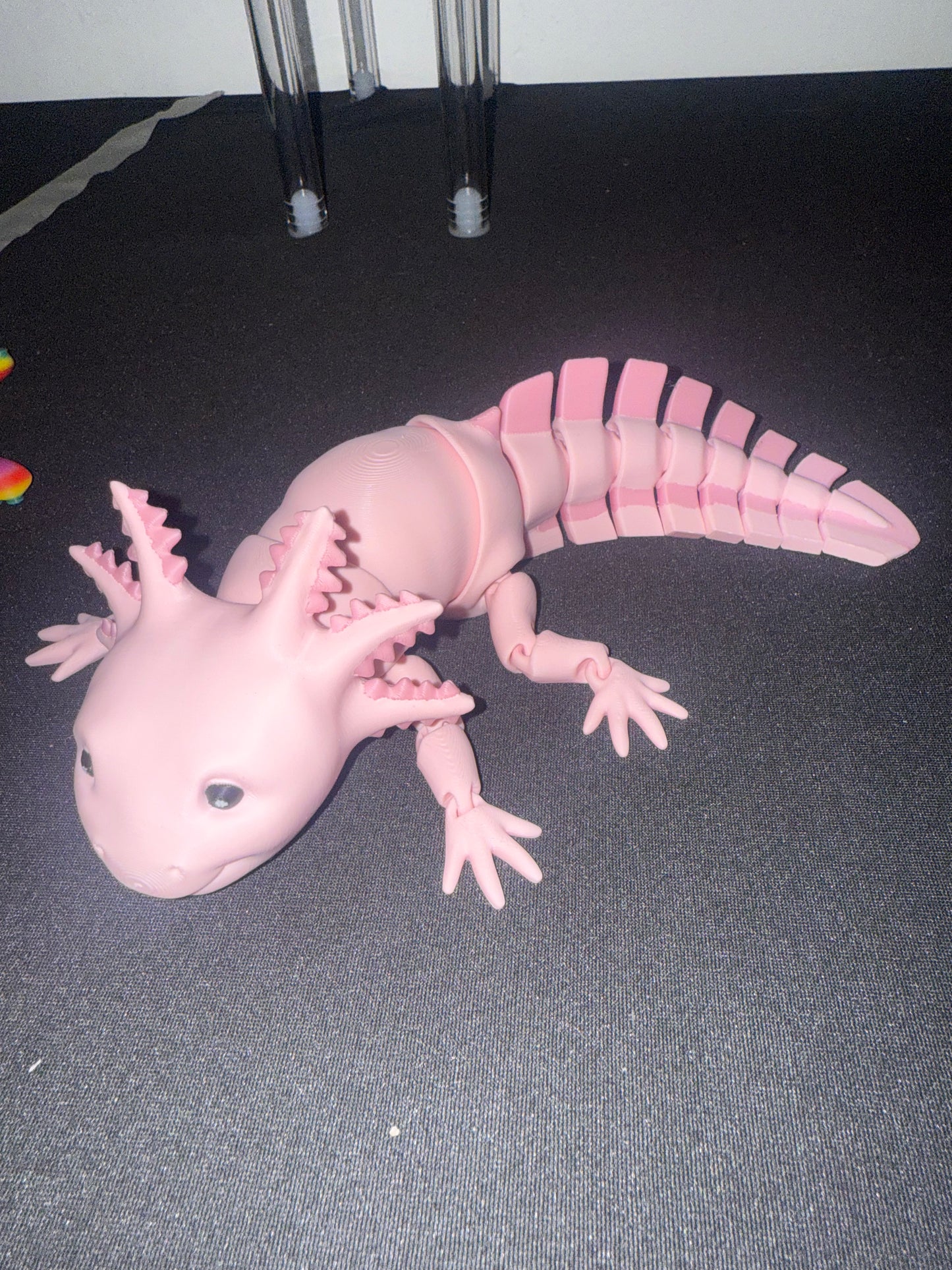 Axolotl
