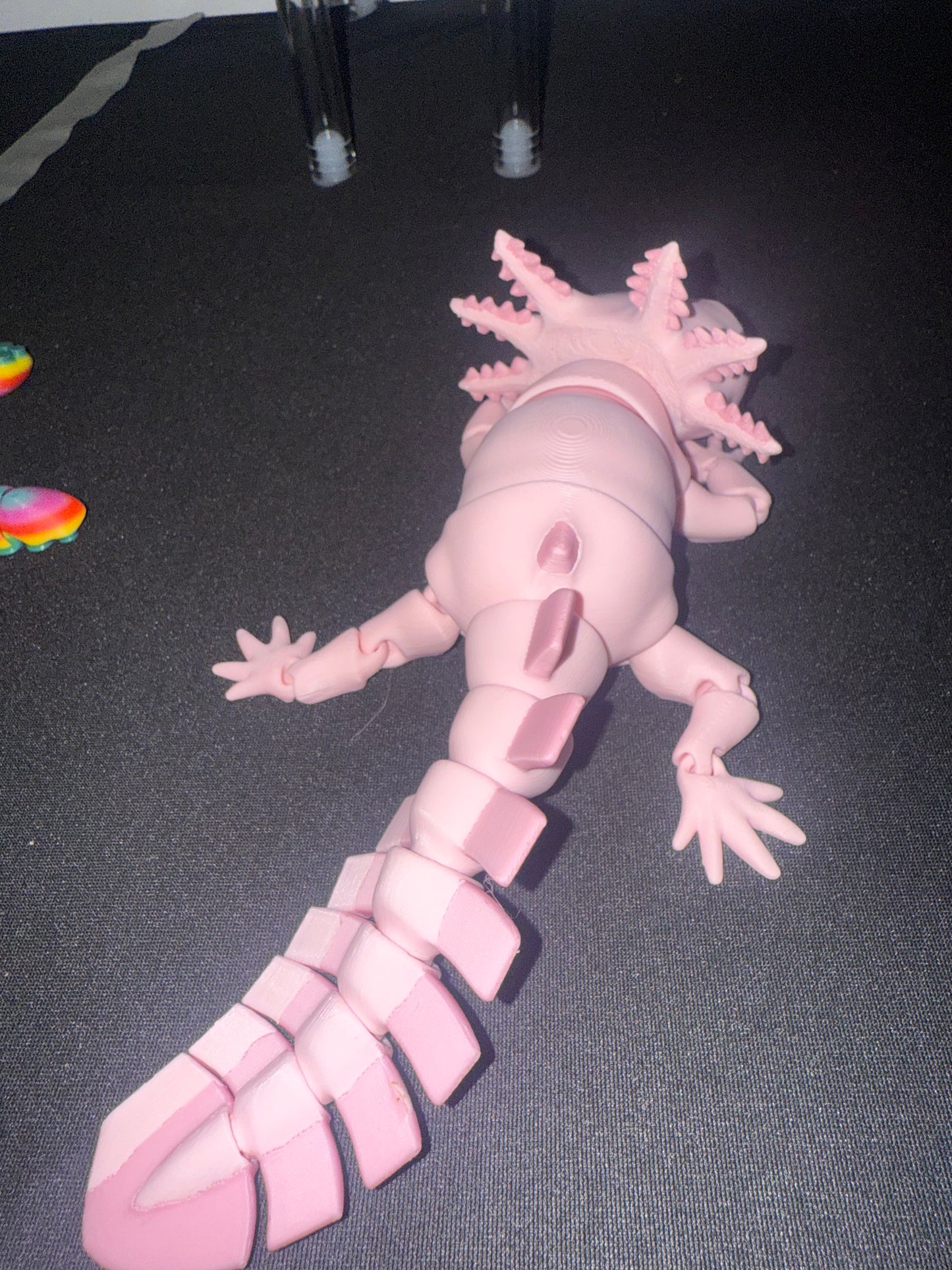 Axolotl