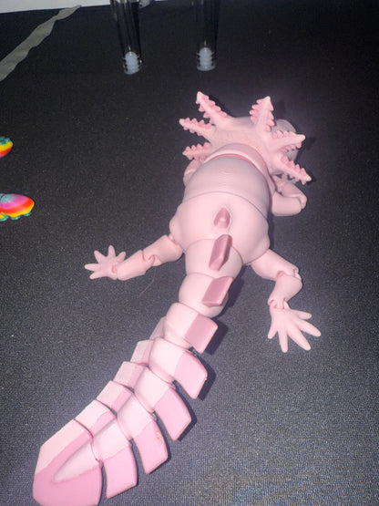 Axolotl