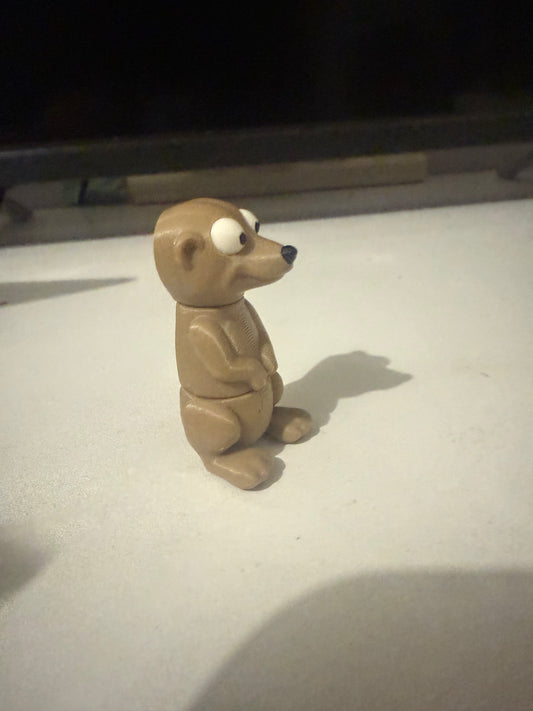 Meerkat
