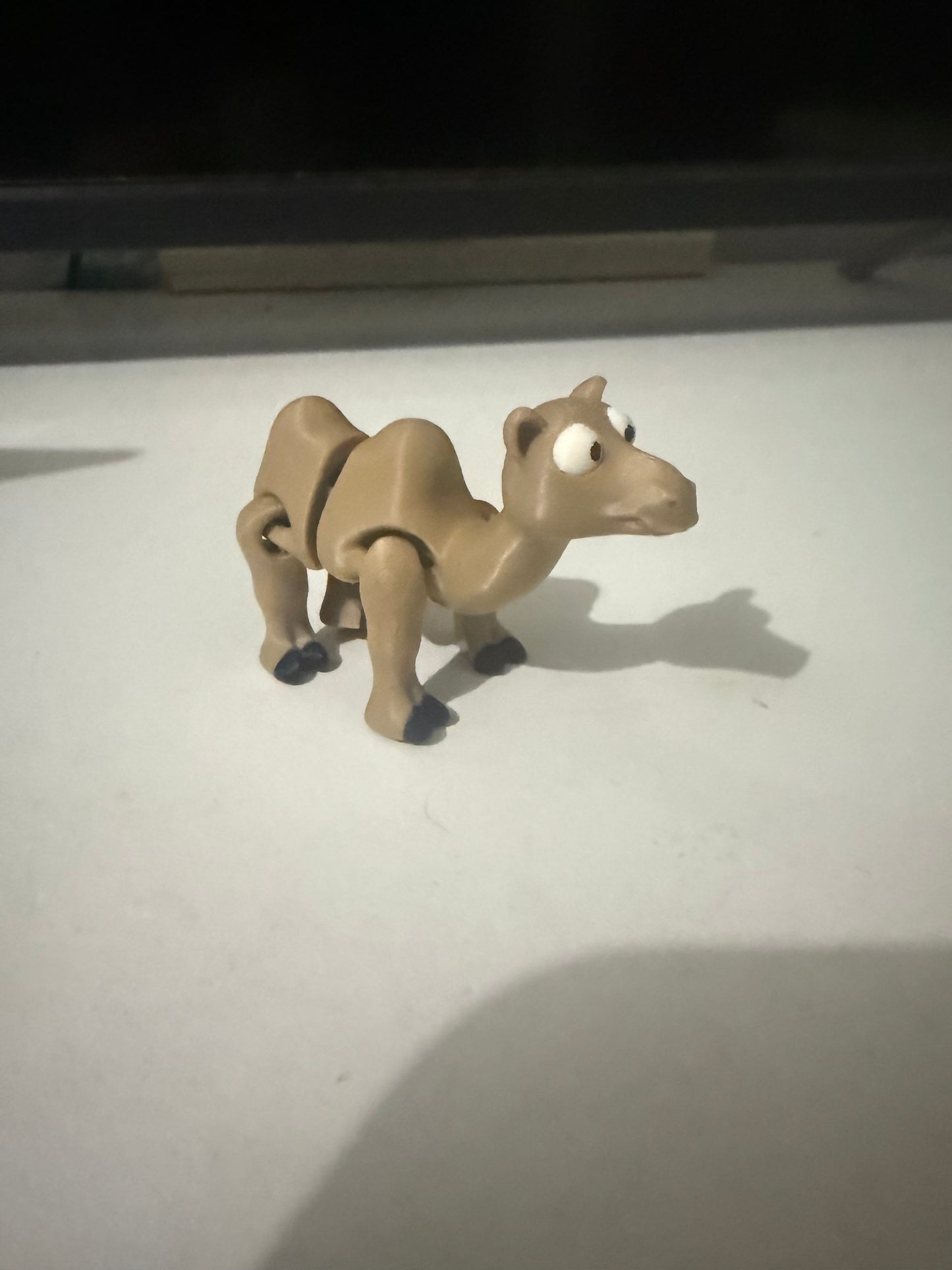 Camel