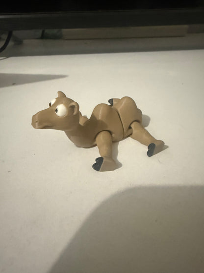 Camel