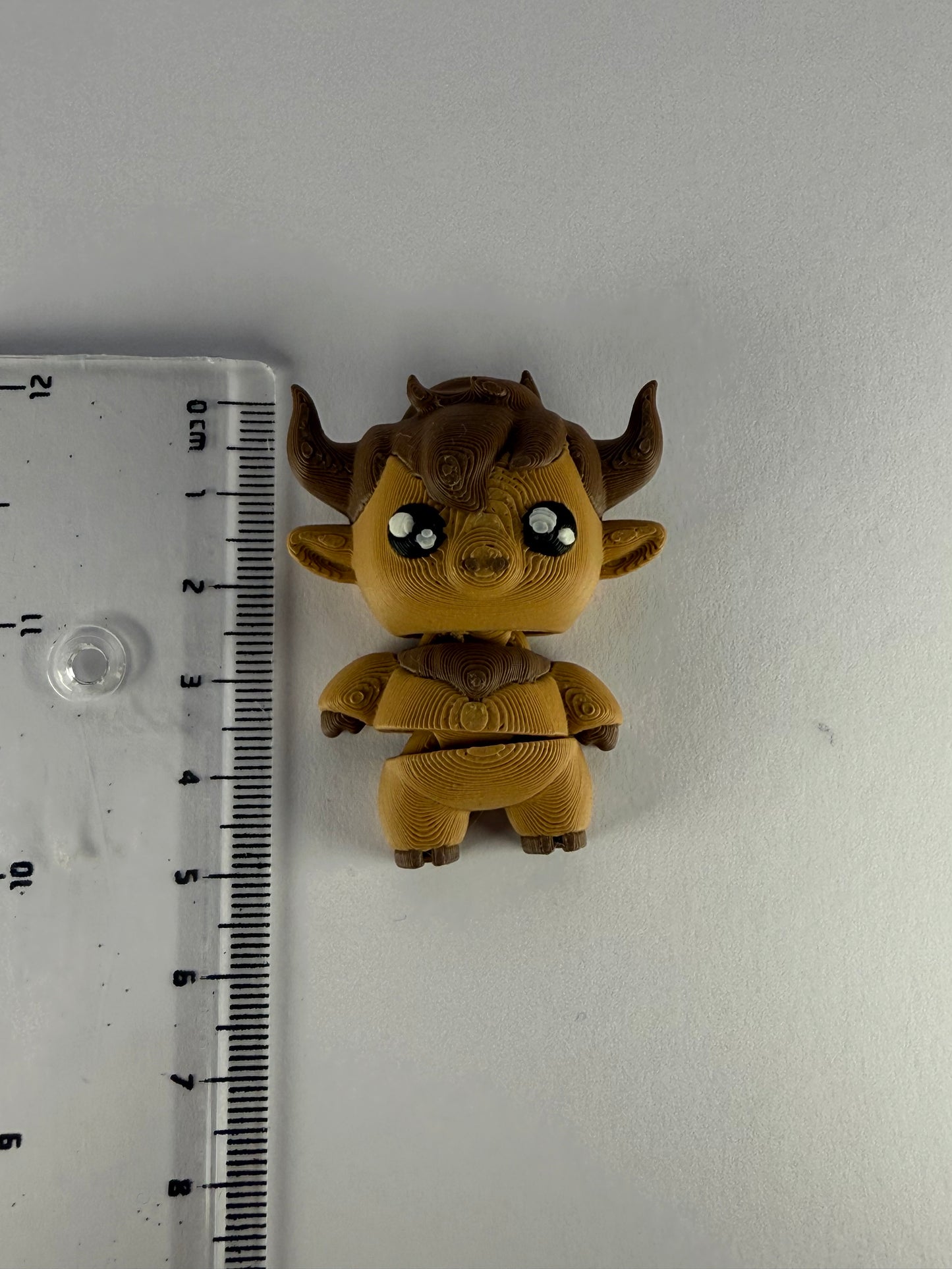 Highland Cow