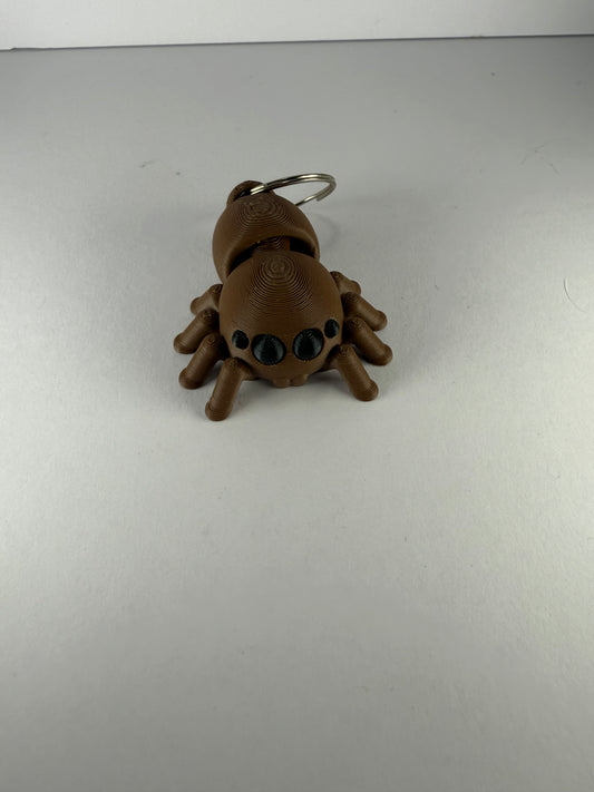 Spider