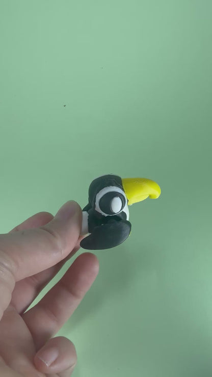 Toucan