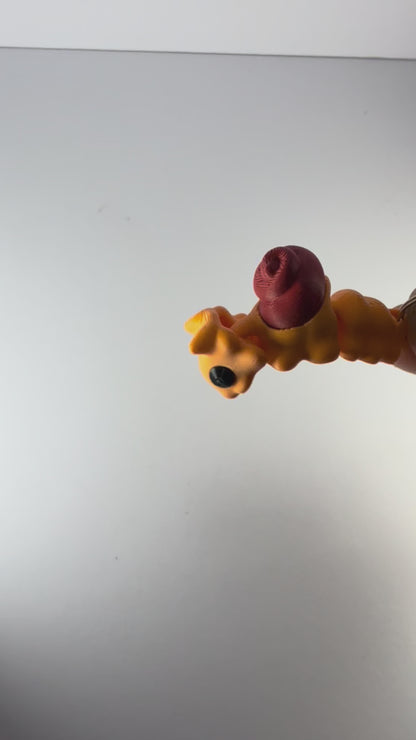 Snail